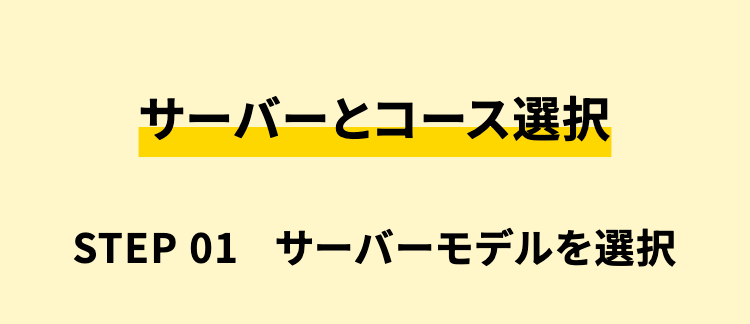 サーバーとコース選択
STEP 01 サーバーモデルを選択